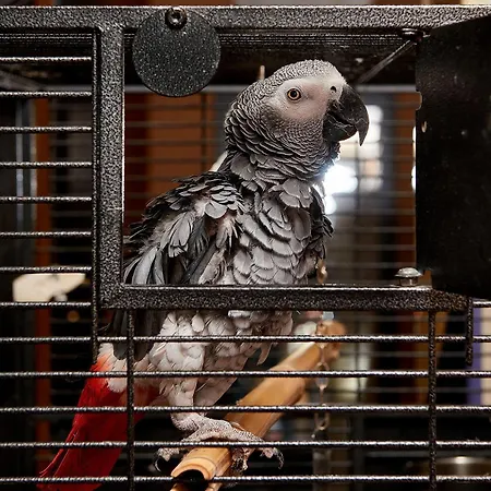 Sunny Forum Солнечный берег