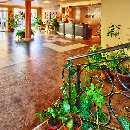 Sunny Forum Солнечный берег