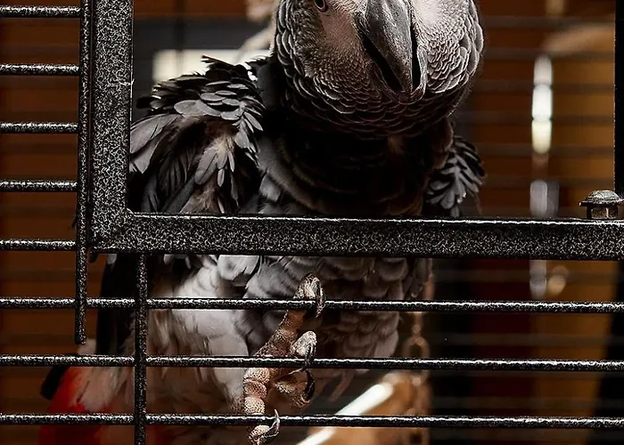 Sunny Forum 4* Солнечный берег