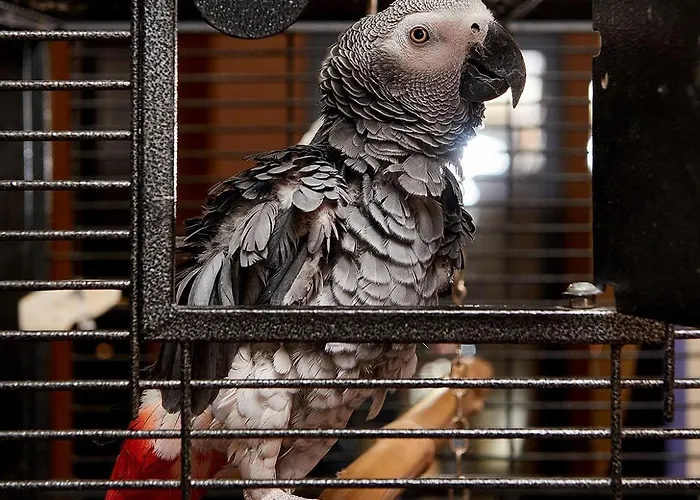 Sunny Forum Slăntjev Brjag